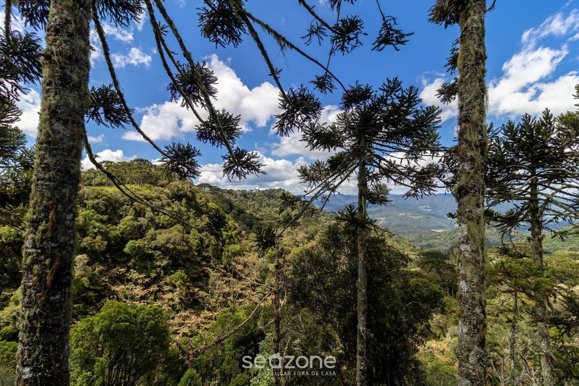 Chales Encantadores Em Urubici/Sc - Par Pokoj fotografie